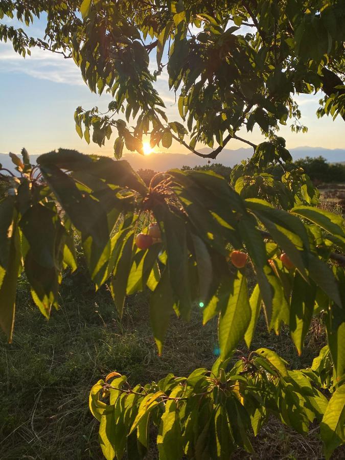 Nena Dashuri Agroturizem Peshkopi المظهر الخارجي الصورة