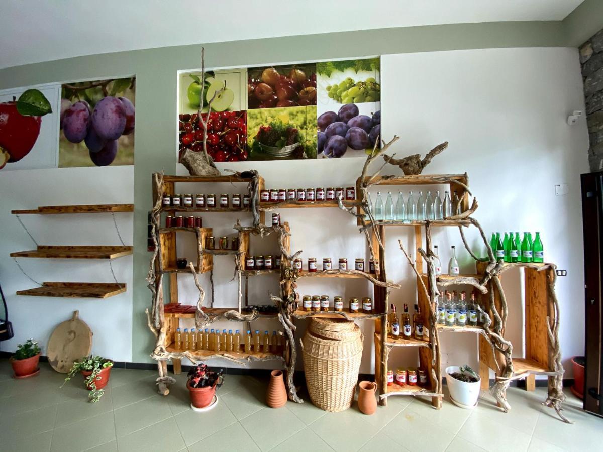Nena Dashuri Agroturizem Peshkopi المظهر الخارجي الصورة